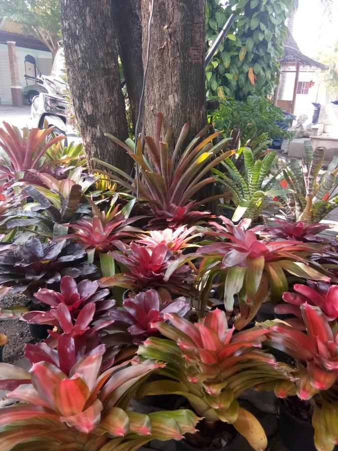 Sor Kor Sor Resort Sattahip Luaran gambar